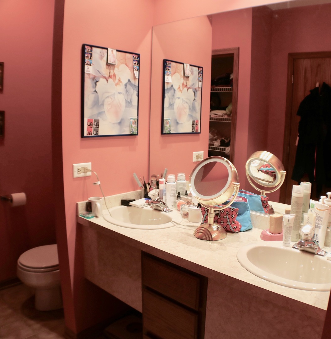 1008 Arbor Court Mount Prospect, IL 60056 - Photo 22 of 30