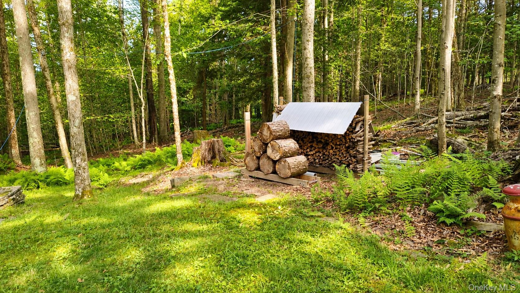 3 Rennison Road Grahamsville, NY 12740 - Photo 19 of 29 Gallery Image 19