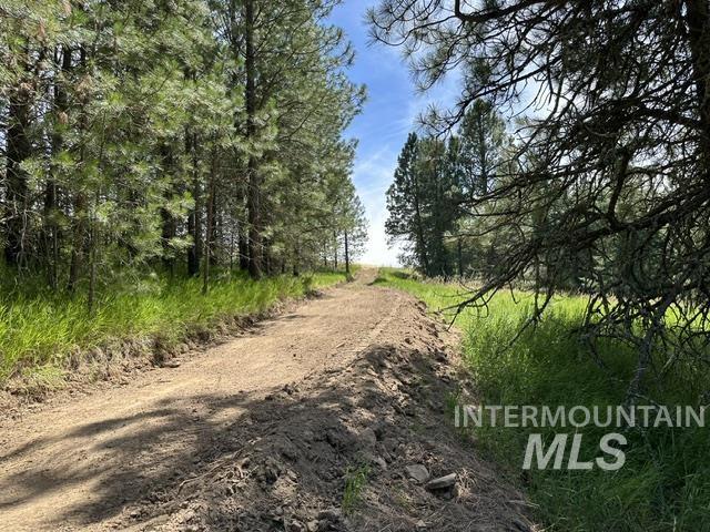 0 Parkins Road Troy, ID 83871 - Photo 12 of 33