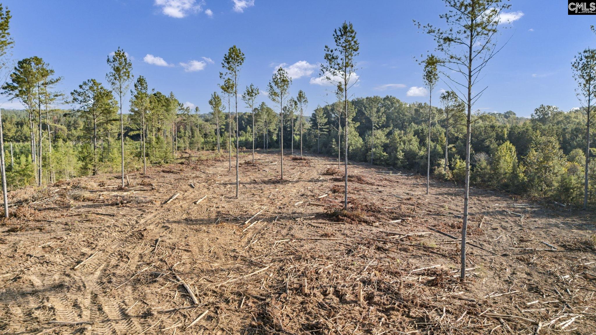 0 Fruit Hill Road Saluda, SC 29138 - Photo 5 of 17