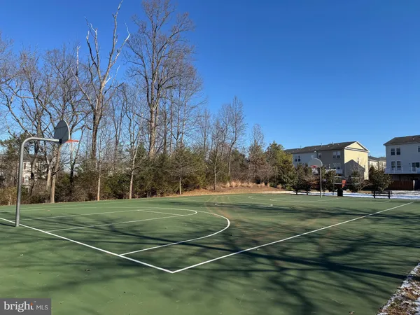 a view of a tennis ground with large trees