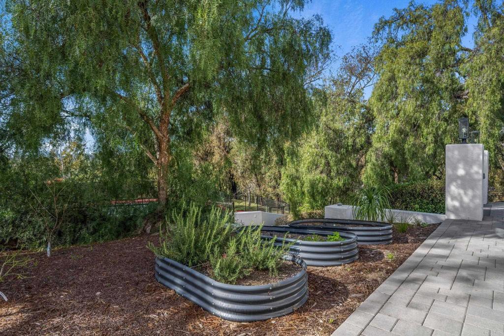 6449 Las Colinas Rancho Santa Fe, CA 92067 - Photo 42 of 46