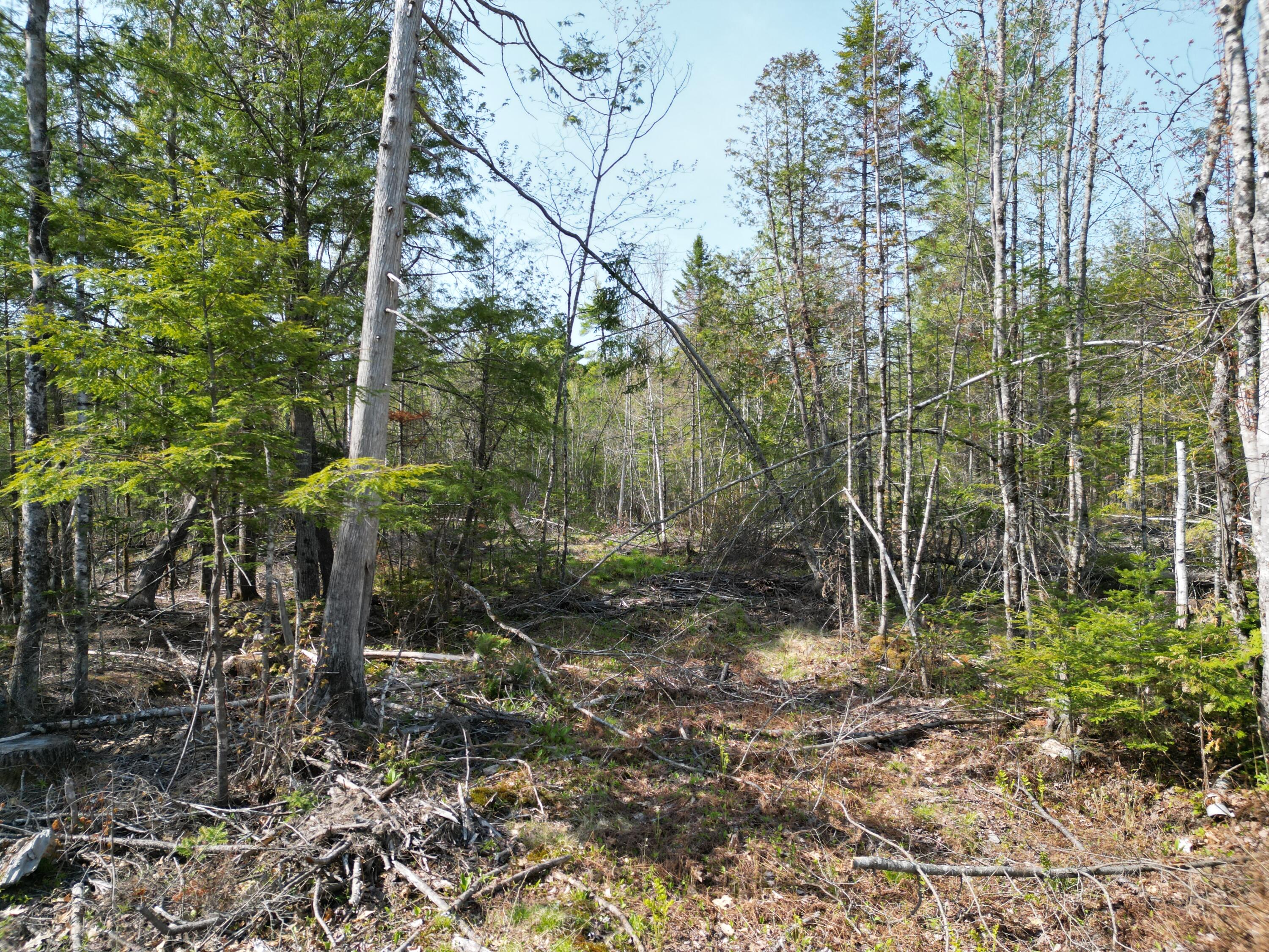Lot 1 Mattamiscontis Road Howland, ME 04448 - Photo 5 of 15 DJI_0513
