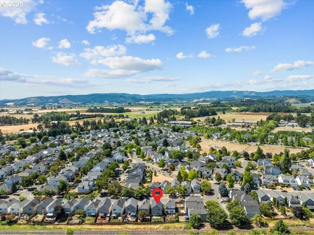 a view of a park with palm trees