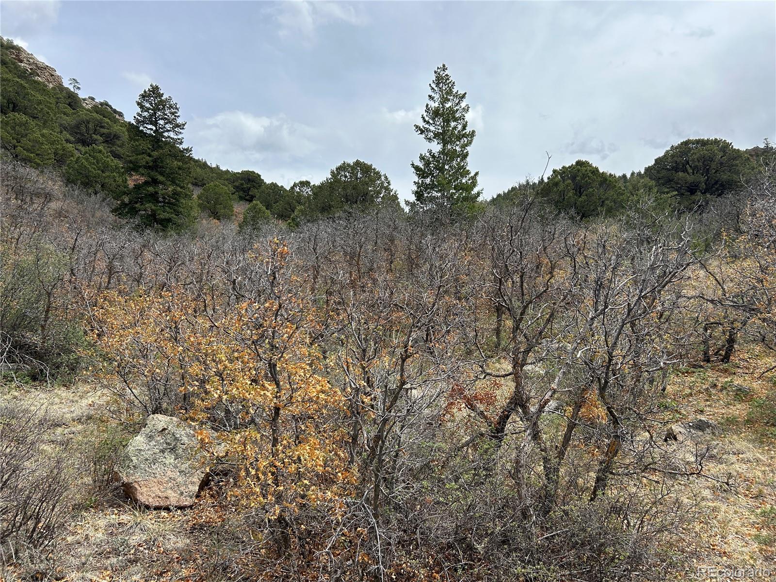 0 Pass Creek Road Gardner, CO 81040 - Photo 16 of 28