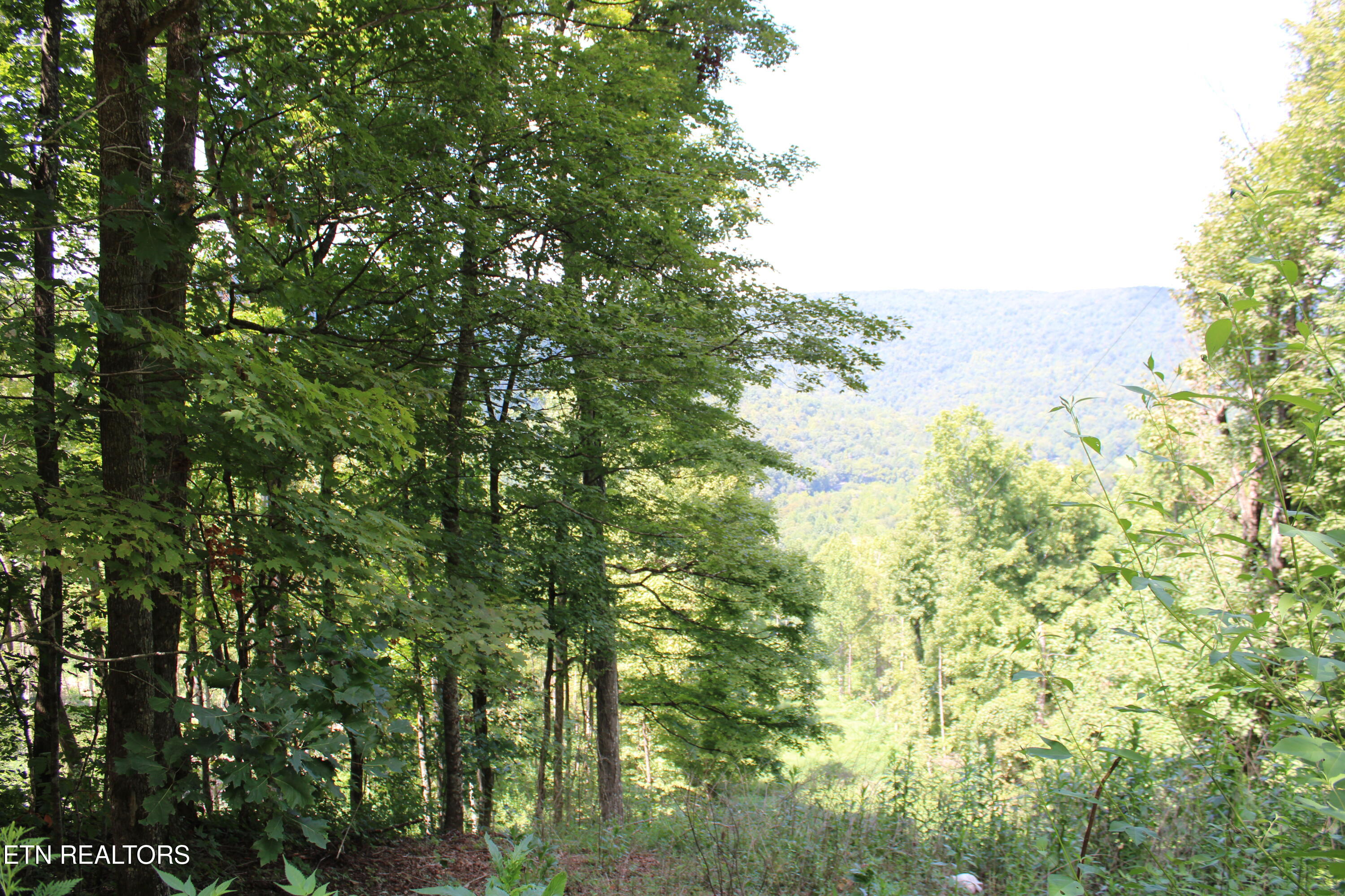 Manson Road Jamestown, TN 38556 - Photo 17 of 20 IMG_2061