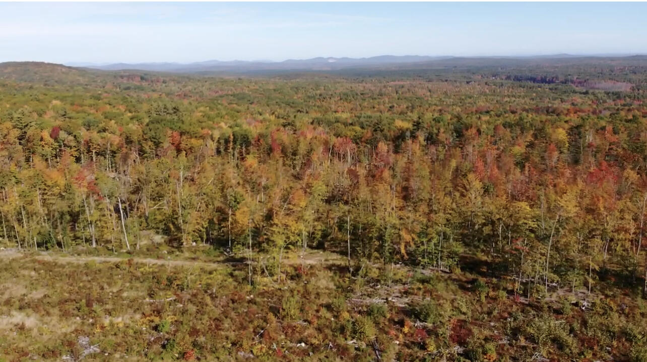 Lot 4 Gulf Road Shapleigh, ME 04076 - Photo 16 of 22 4962E2B0-AD3D-4261-88EE-B9675025FC4C_1_2