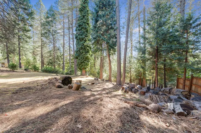 a view of a backyard with large trees