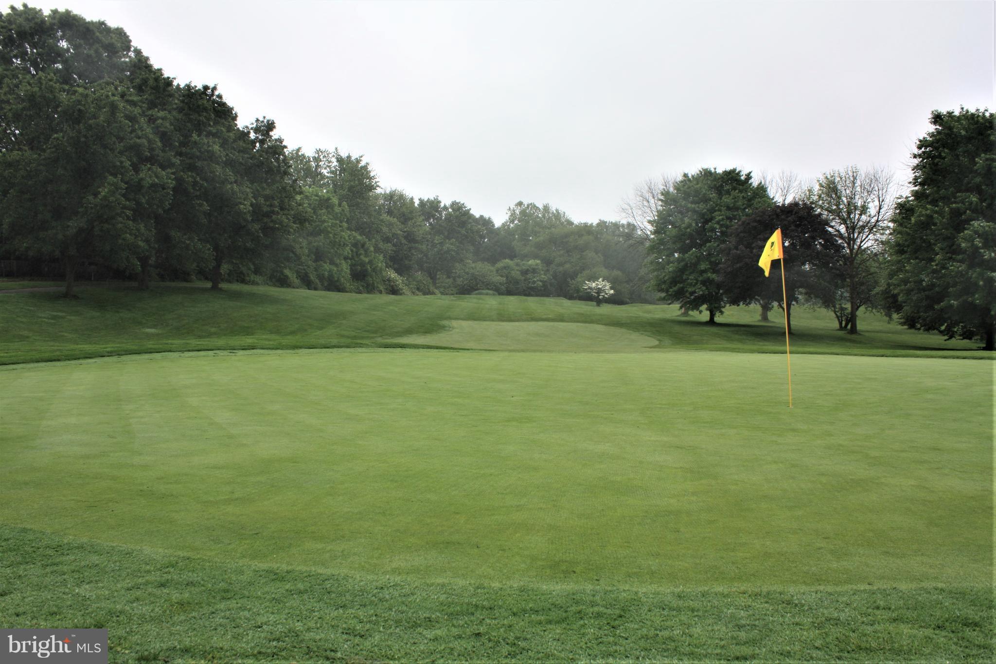 1804 Golf View Court Reston, VA 20190 - Photo 28 of 30 a view of a field with a trees