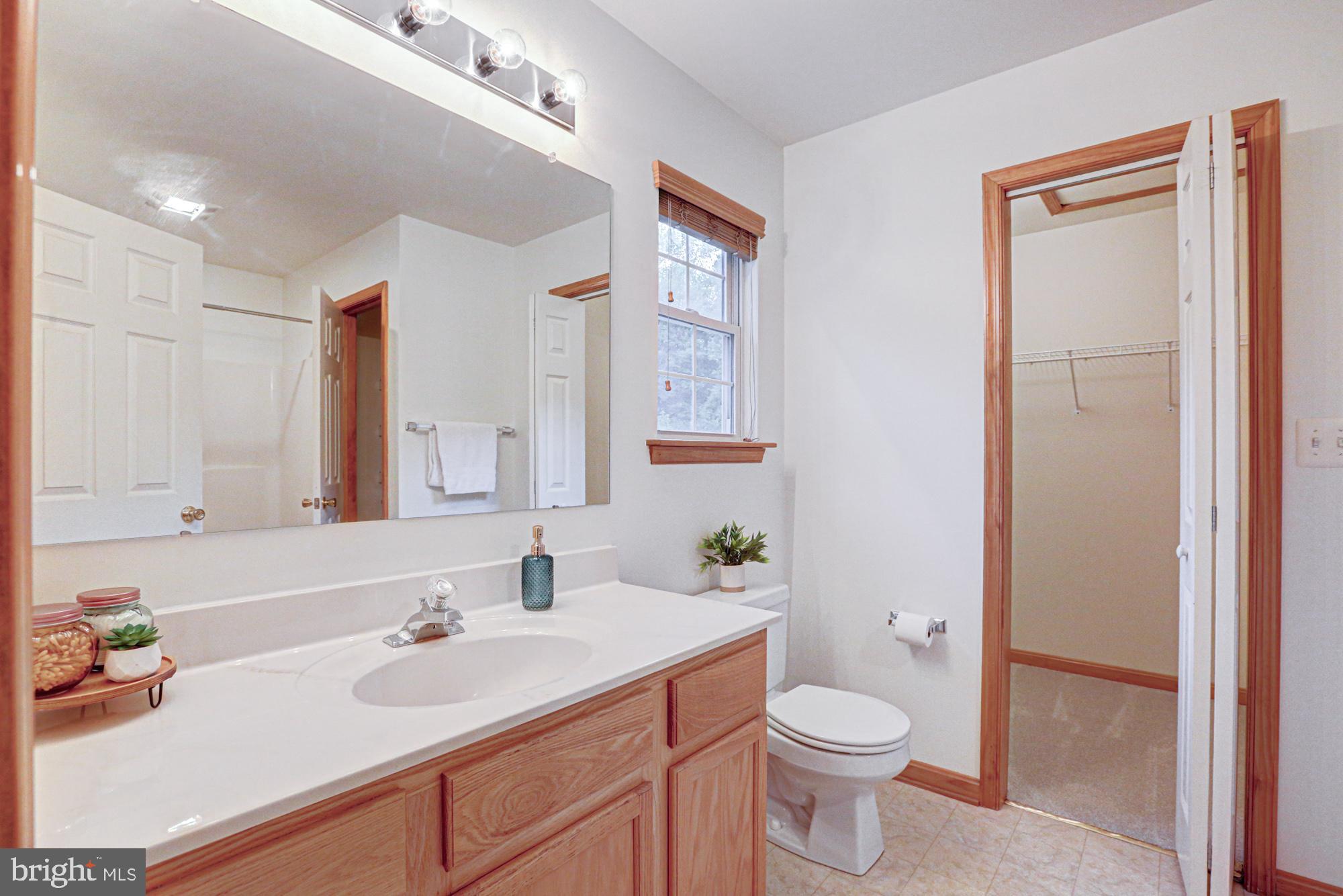 230 Tina Marie Lane Smyrna, DE 19977 - Photo 44 of 83 Primary EnSuite and Walk-in Closet