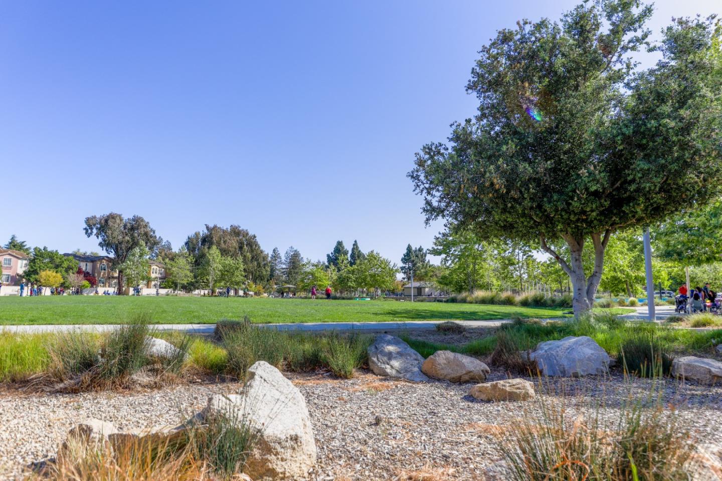 1095 Interlaken Terrace Sunnyvale, CA 94089 - Photo 24 of 25 a view of a lake with a yard and large trees