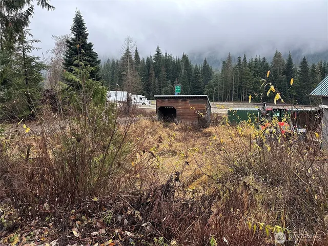 $149,000 | 121 Kearney Drive, Snoqualmie Pass, WA 98068