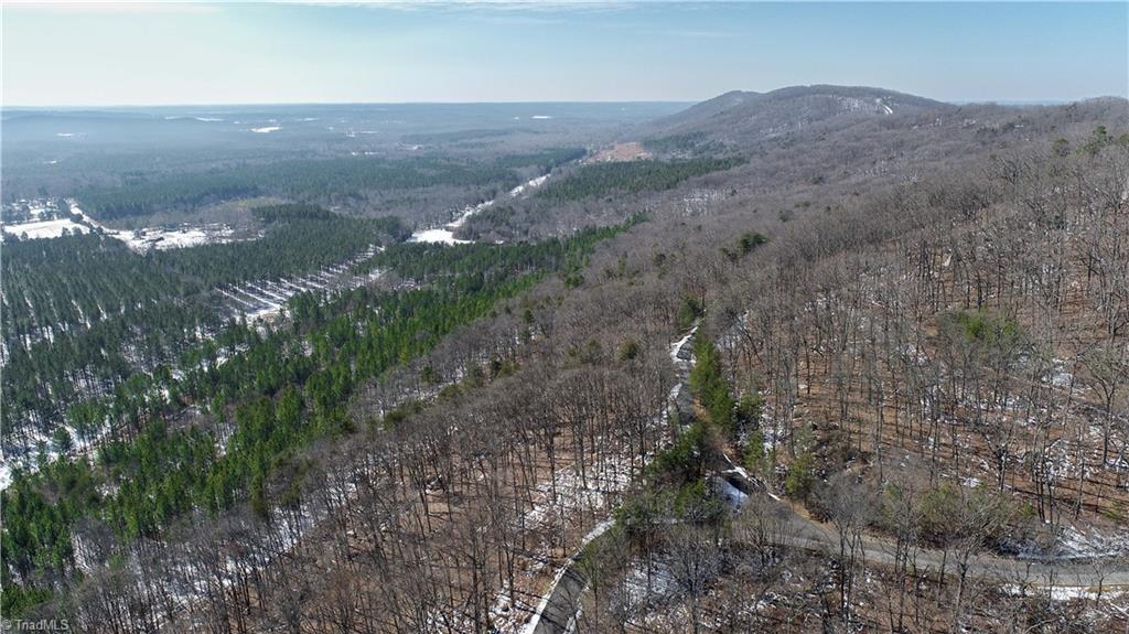 439 Boulder Ridge Drive Denton, NC 27239 - Photo 11 of 26