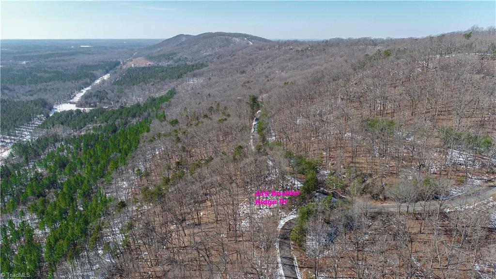 439 Boulder Ridge Drive Denton, NC 27239 - Photo 12 of 26