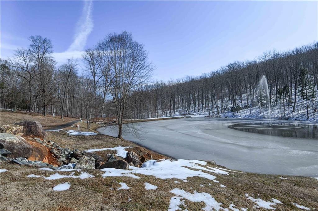 439 Boulder Ridge Drive Denton, NC 27239 - Photo 5 of 26