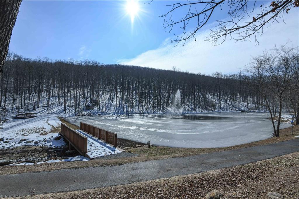 439 Boulder Ridge Drive Denton, NC 27239 - Photo 6 of 26