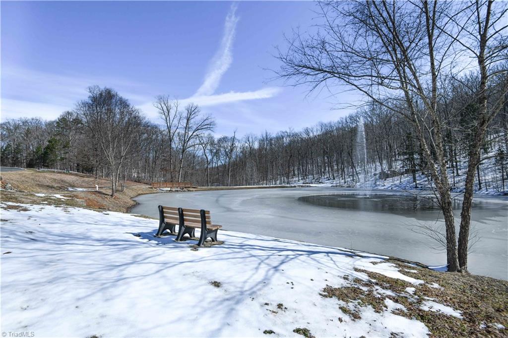 439 Boulder Ridge Drive Denton, NC 27239 - Photo 7 of 26