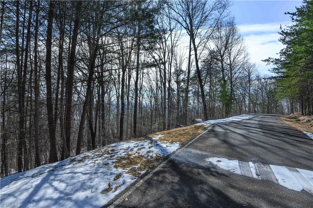 439 Boulder Ridge Drive Denton, NC 27239 - Photo 8 of 26 Street View-439 Boulder Ridge on Left Side