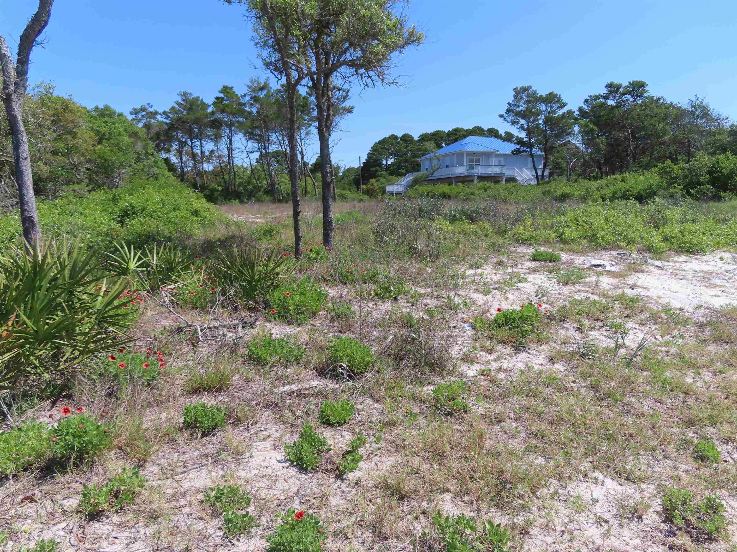 1358 Chip Morrison Drive Alligator Point, FL 32346 - Photo 2 of 9