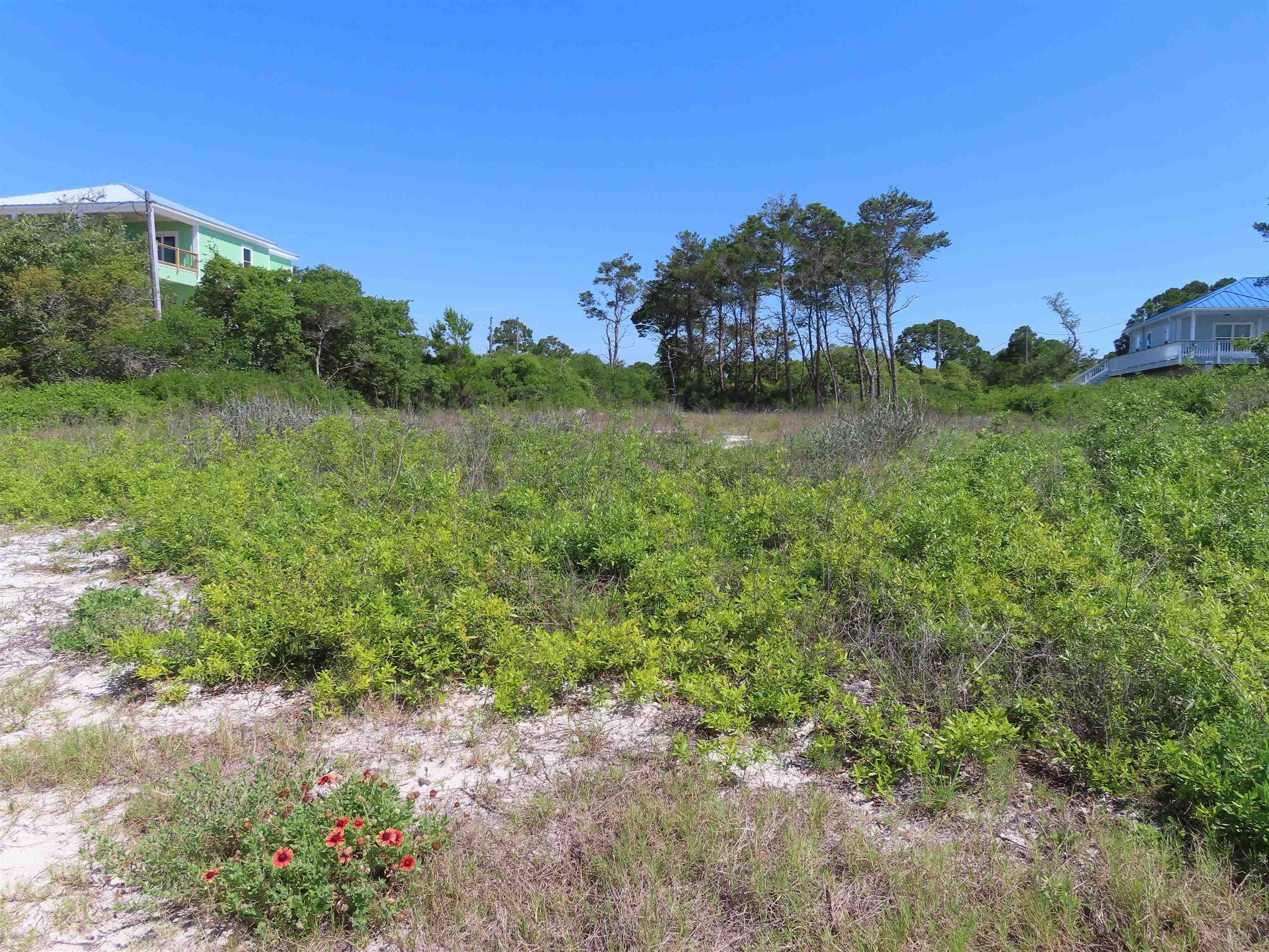 1358 Chip Morrison Drive Alligator Point, FL 32346 - Photo 3 of 9