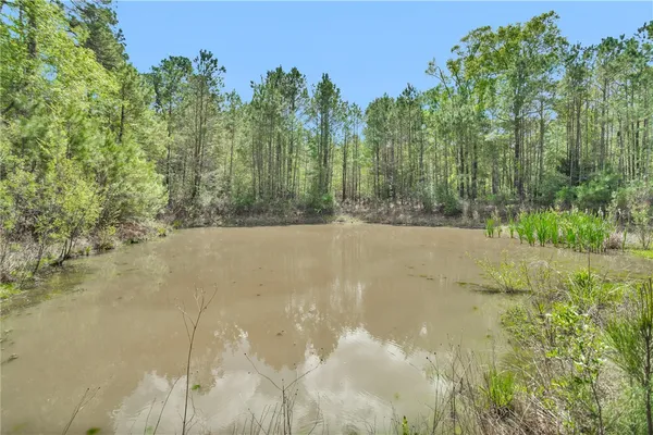 $1,299,999 | 17174 Tierra Buena Drive, Plantersville, TX 77363