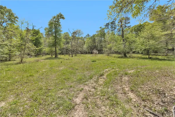 $1,299,999 | 17174 Tierra Buena Drive, Plantersville, TX 77363