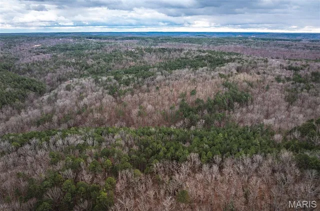 $191,845 | 62-ac Slaughter Road, Licking, MO 65542