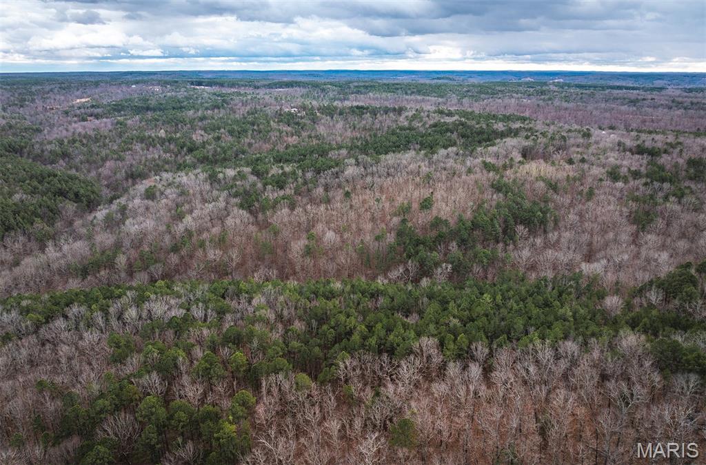 62-ac Slaughter Road Licking, MO 65542 - Photo 11 of 39