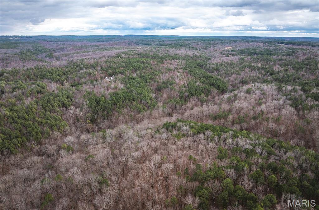 62-ac Slaughter Road Licking, MO 65542 - Photo 12 of 39