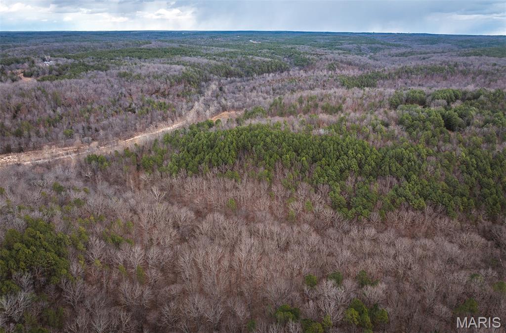 62-ac Slaughter Road Licking, MO 65542 - Photo 13 of 39