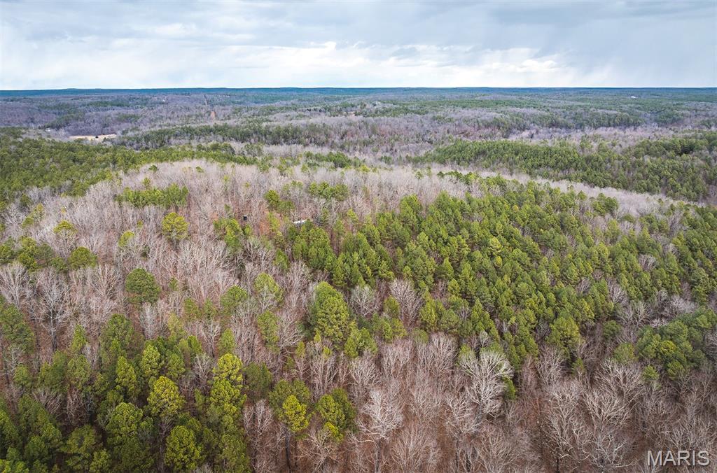 62-ac Slaughter Road Licking, MO 65542 - Photo 15 of 39