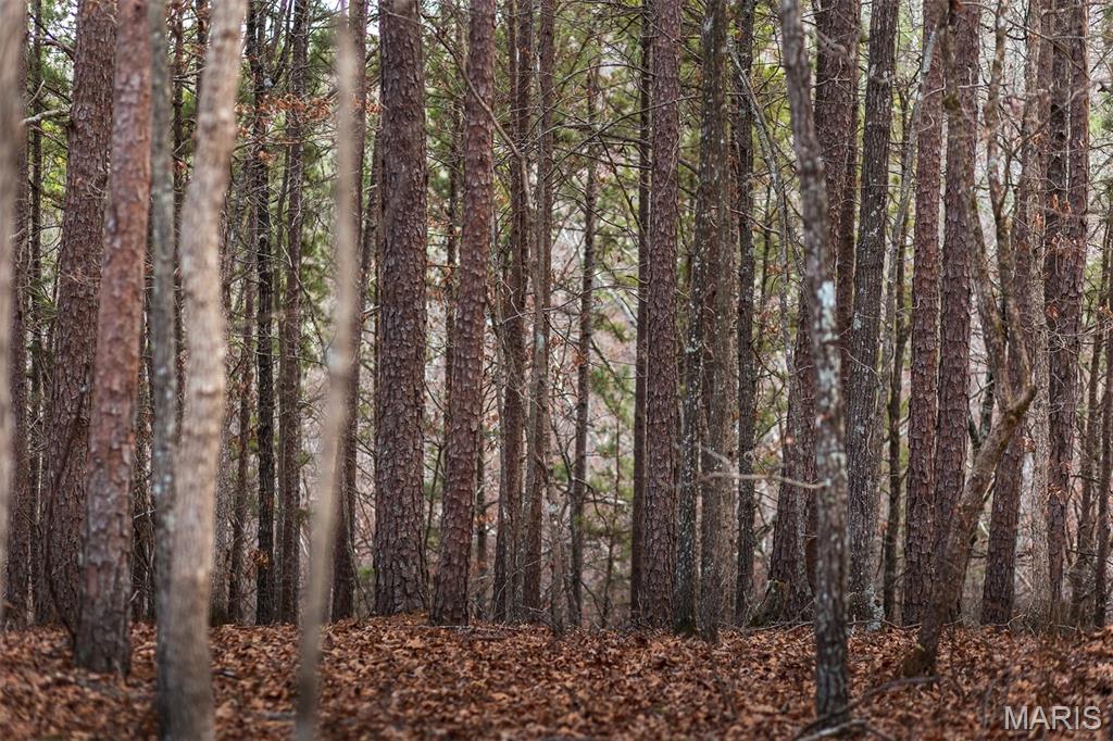 62-ac Slaughter Road Licking, MO 65542 - Photo 21 of 39