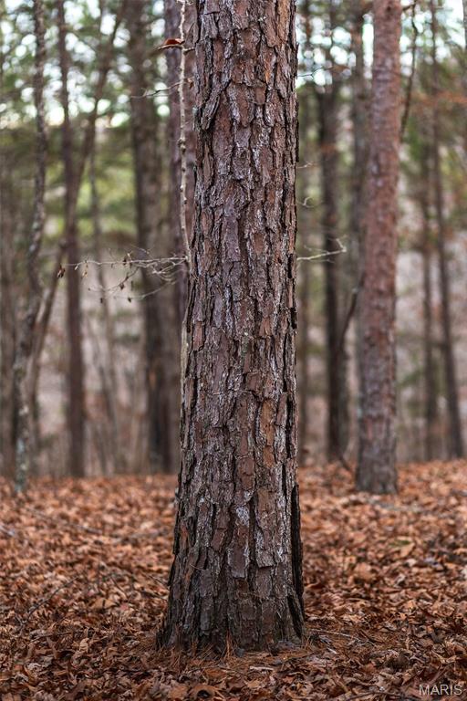 62-ac Slaughter Road Licking, MO 65542 - Photo 22 of 39