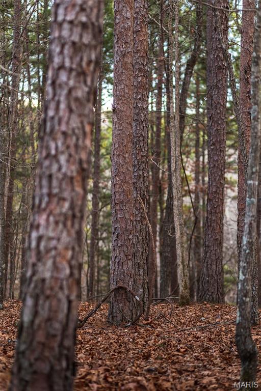 62-ac Slaughter Road Licking, MO 65542 - Photo 23 of 39