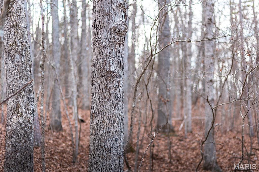 62-ac Slaughter Road Licking, MO 65542 - Photo 24 of 39