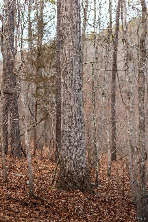 62-ac Slaughter Road Licking, MO 65542 - Photo 25 of 39