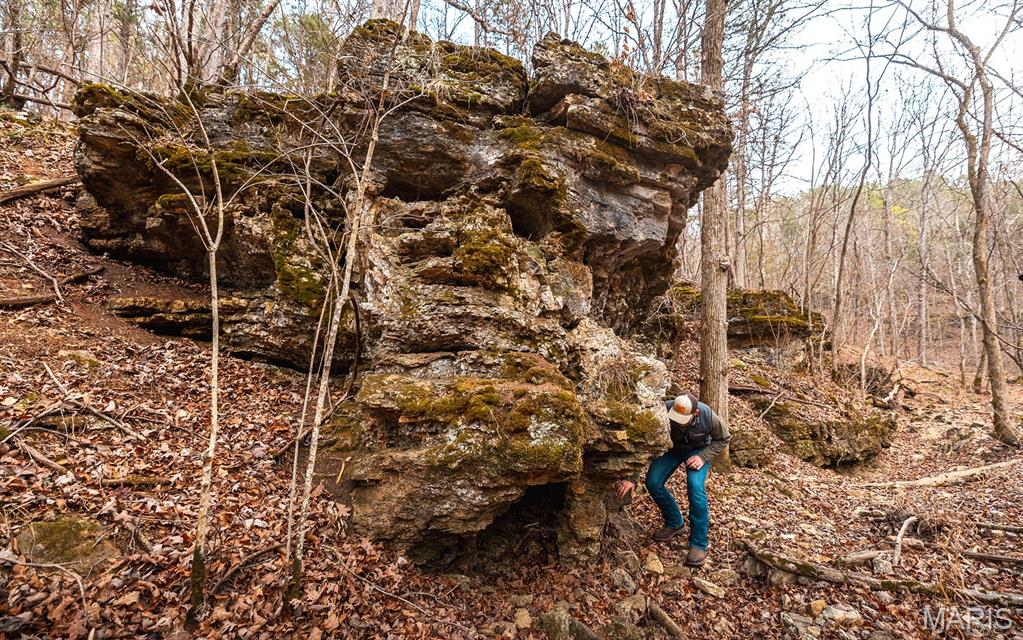 62-ac Slaughter Road Licking, MO 65542 - Photo 28 of 39