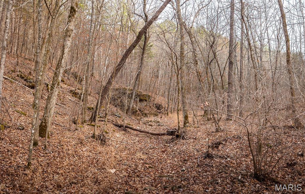 62-ac Slaughter Road Licking, MO 65542 - Photo 29 of 39