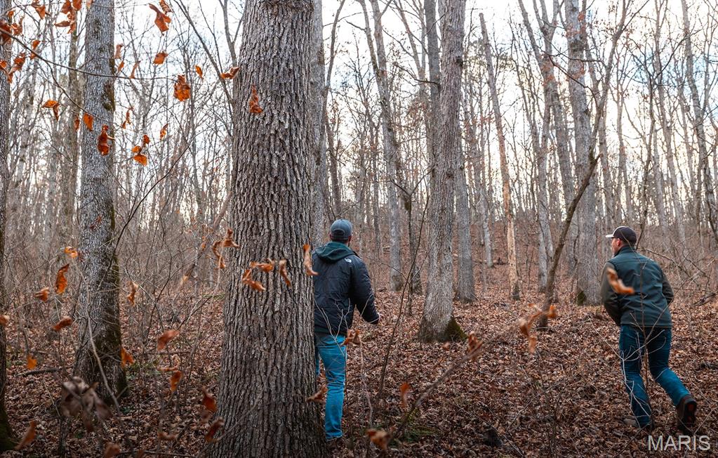 62-ac Slaughter Road Licking, MO 65542 - Photo 30 of 39
