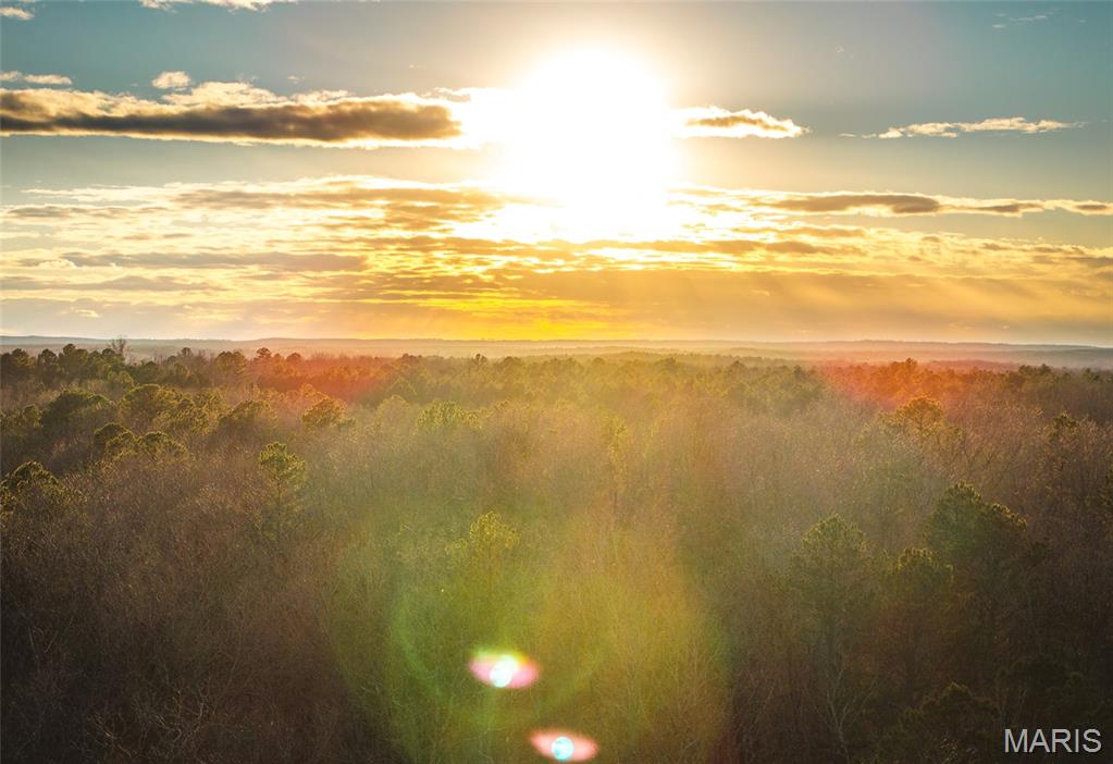 62-ac Slaughter Road Licking, MO 65542 - Photo 3 of 39