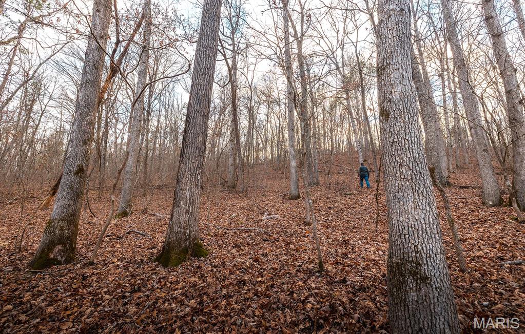 62-ac Slaughter Road Licking, MO 65542 - Photo 32 of 39