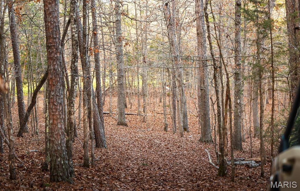 62-ac Slaughter Road Licking, MO 65542 - Photo 33 of 39