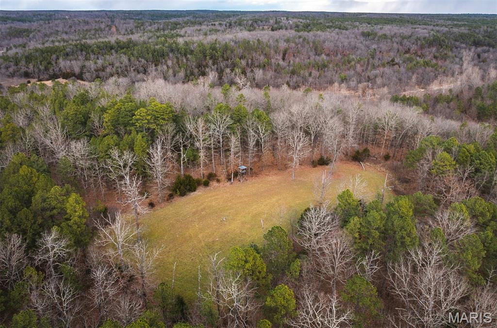 62-ac Slaughter Road Licking, MO 65542 - Photo 7 of 39