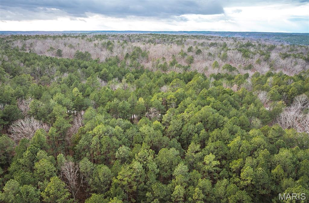 62-ac Slaughter Road Licking, MO 65542 - Photo 8 of 39