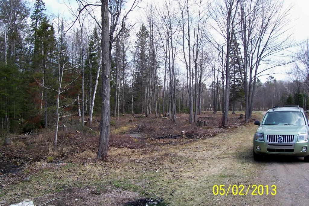 3163 West 11 Mile Road Dafter, MI 49724 - Photo 54 of 56 Gallery Image 54
