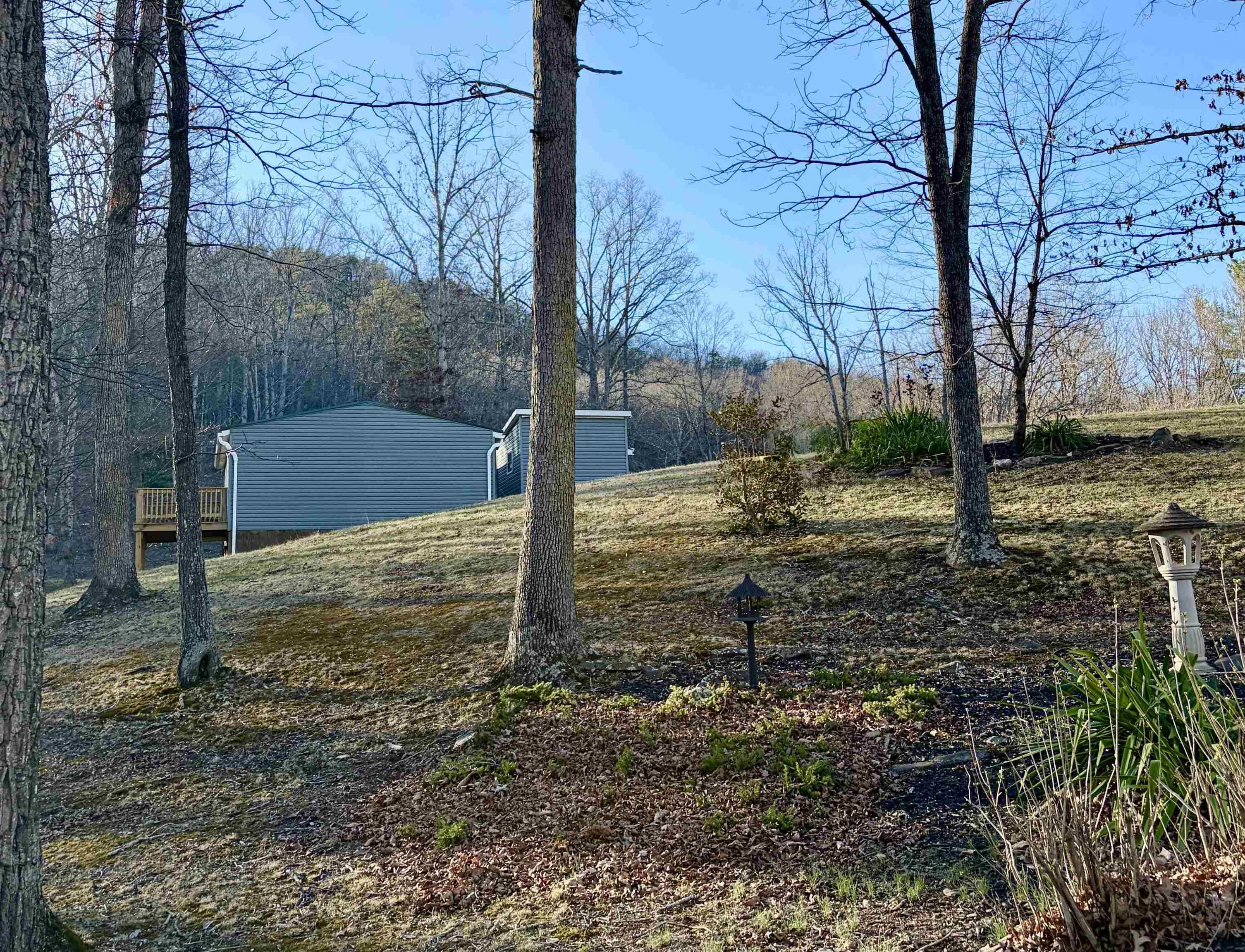 341 Buttercup Drive Mathias, WV 26812 - Photo 2 of 16 a view of a yard