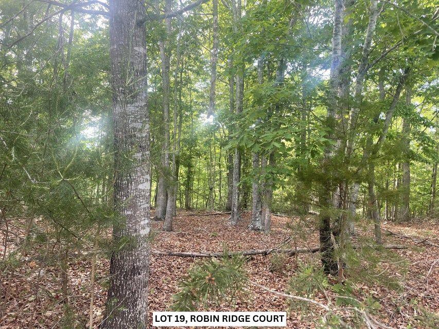 Lot 19 Robin Ridge Court Pittsville, VA 24139 - Photo 3 of 12 3-20240510152226937847000000-o