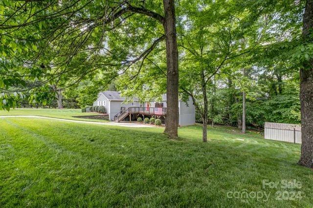 a view of a big yard with large trees
