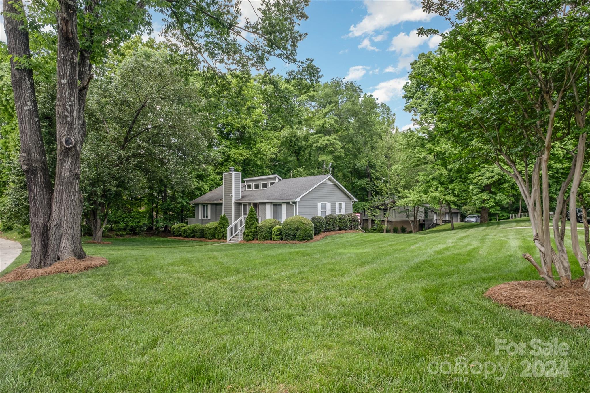 6200 Old Providence Road Charlotte, NC 28226 - Photo 7 of 24 a view of a big yard with large trees