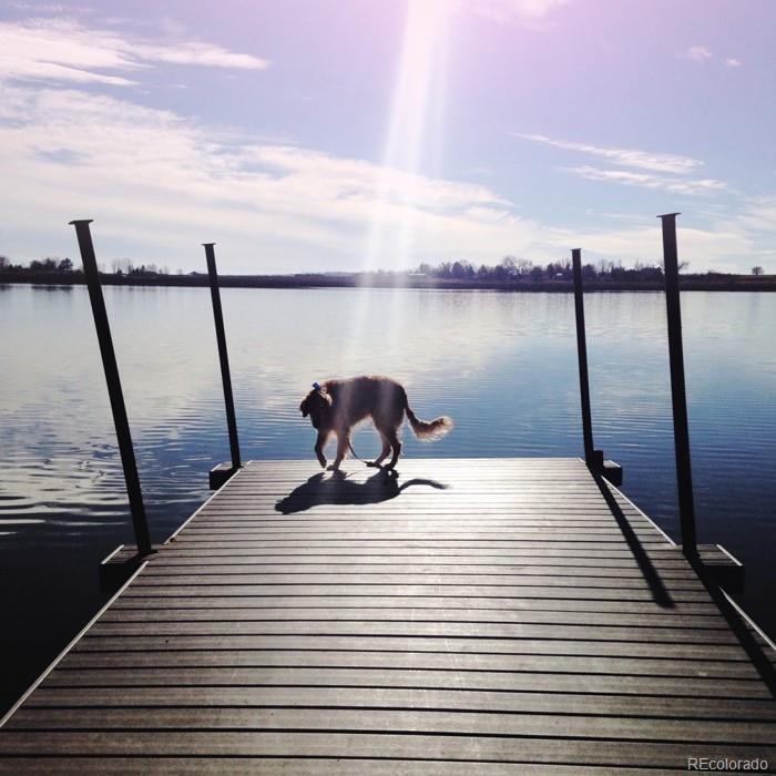 4501 Nelson Road, Unit 2104 Longmont, CO 80503 - Photo 27 of 29 a view of a balcony next to a lake